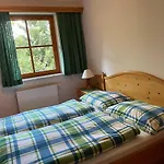 Alpenblick Apartment Krakauschatten